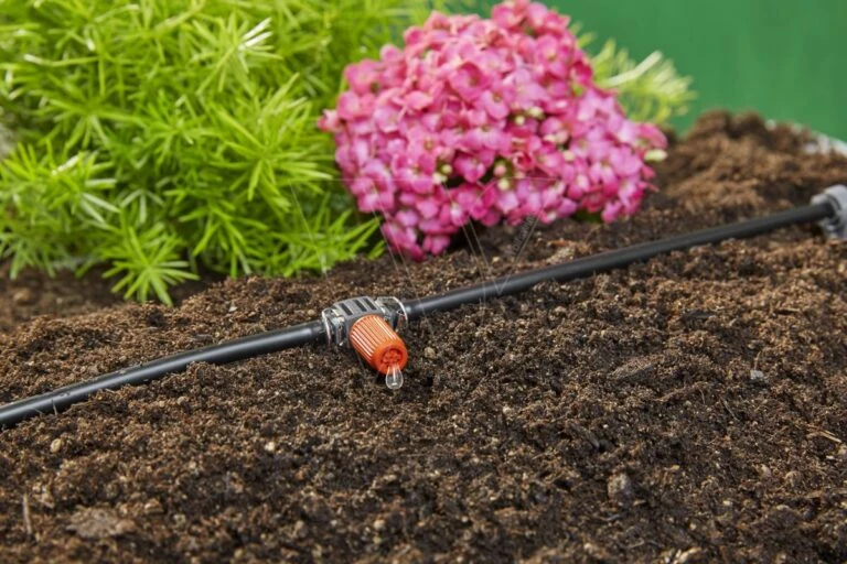 Aanbiedingen Landschap Tuin Winkel -Aanbiedingen Landschap Tuin Winkel 1